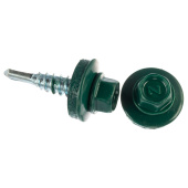 Кровельный зеленый мох