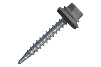 55052650